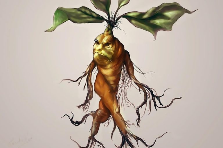 mandrake mythology