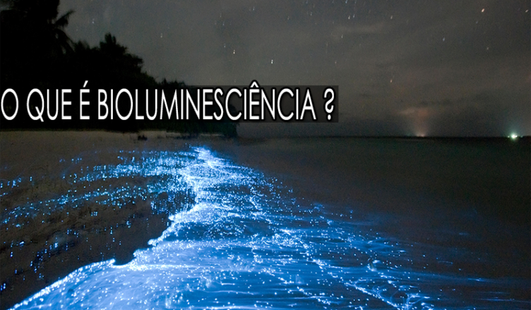O que é bioluminescência?
