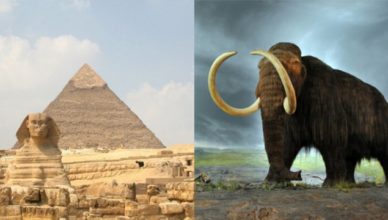 As primeiras pirâmides foram construídas ao mesmo tempo em que os mamutes ainda viviam