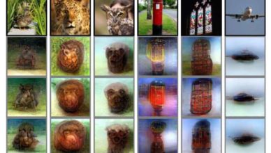Inteligência Artificial Recria Imagens De Dentro Do Cérebro Humano