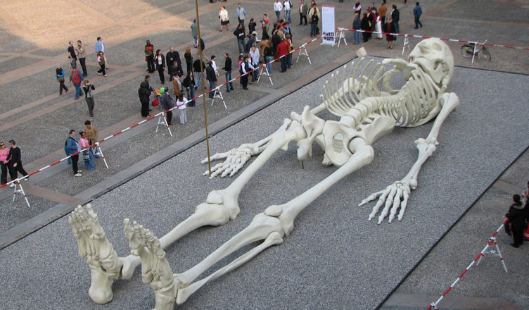 Foi achado em Jerusalém o esqueleto do gigante Golias?