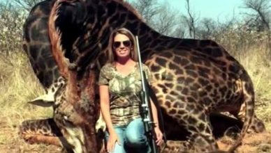 Foto de caçadora norte-americana ao lado de girafa gera revolta nas redes
