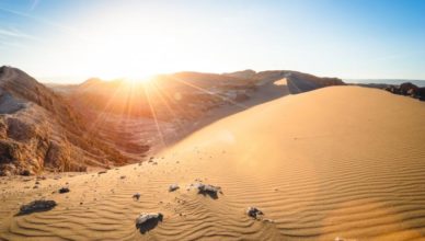 Primeira chuva em 500 anos trouxe morte a este deserto