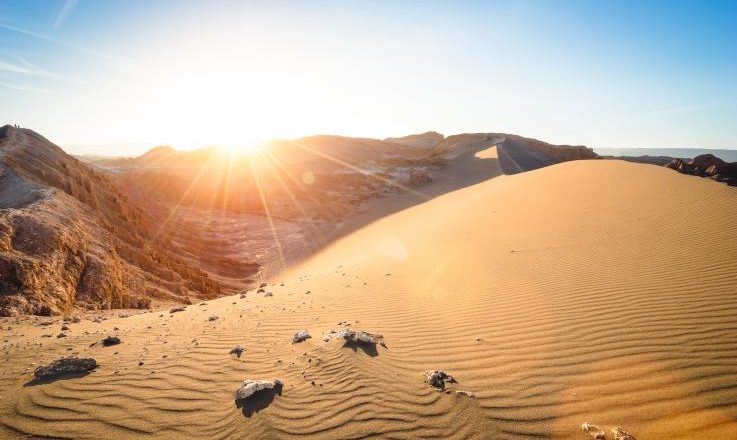 Primeira chuva em 500 anos trouxe morte a este deserto