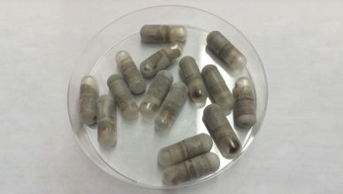 infecções intestinais