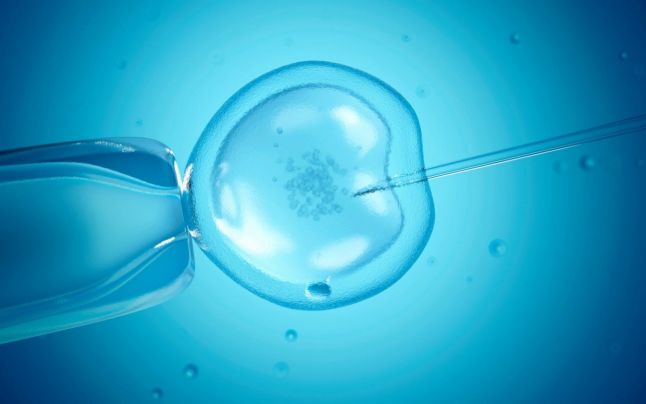 Bebê com DNA de "três pais" nasce na Grécia