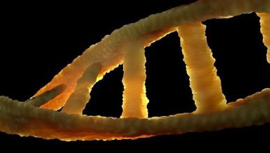 DNA totalmente sintético