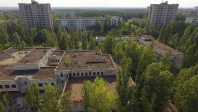 Plantas Chernobyl