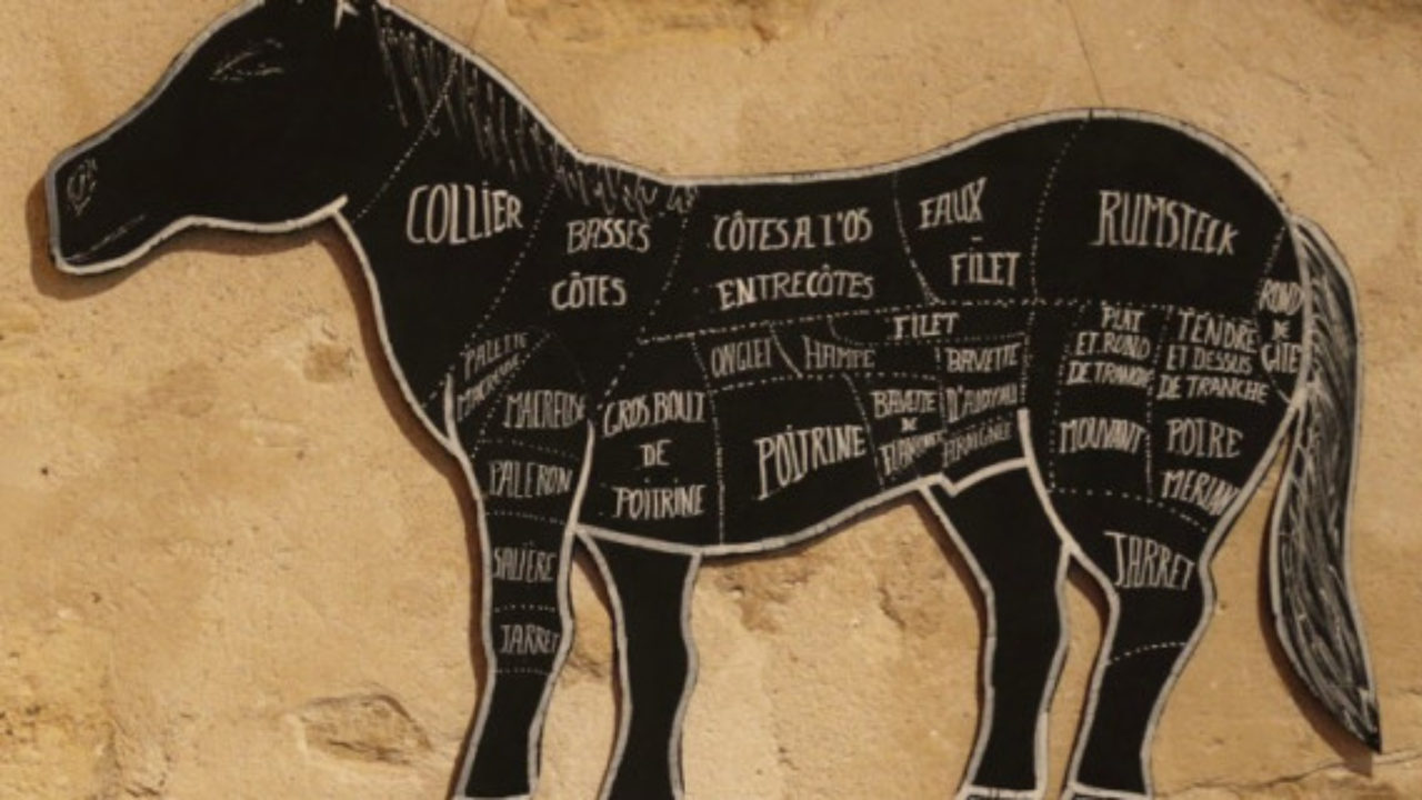 Carne de cavalo é permitida no Brasil? Faz mal? Tire dúvidas