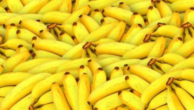 Bananas